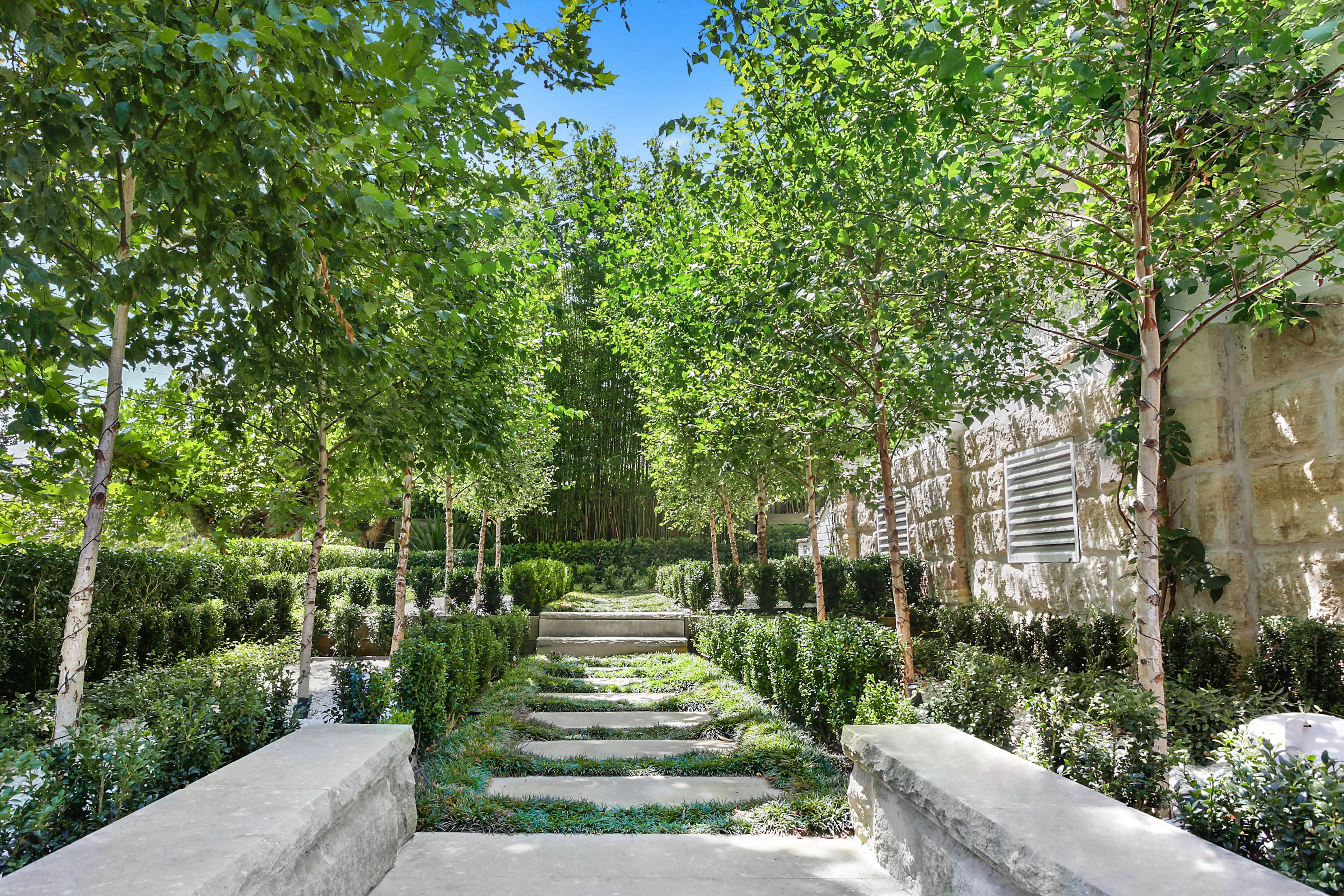17 Boambillee Avenue, Vaucluse - Thumbnail 7