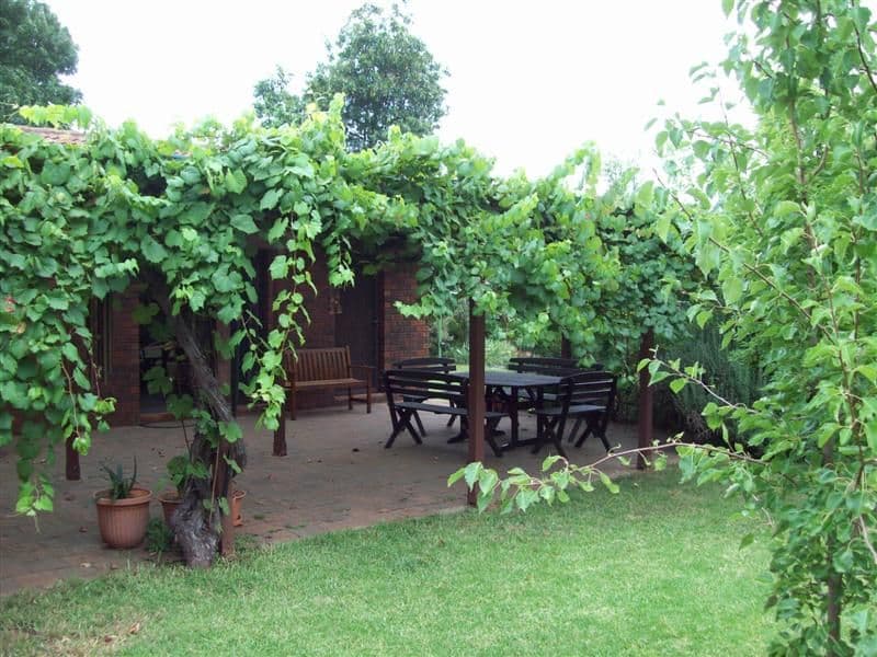 3 Regent Court, DUBBO NSW 2830, Dubbo - Thumbnail 6