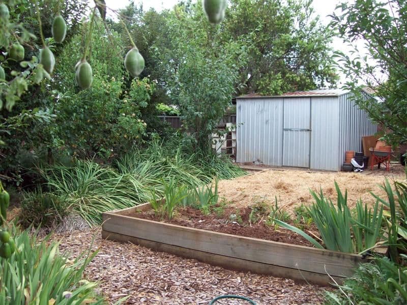 3 Regent Court, DUBBO NSW 2830, Dubbo - Thumbnail 7
