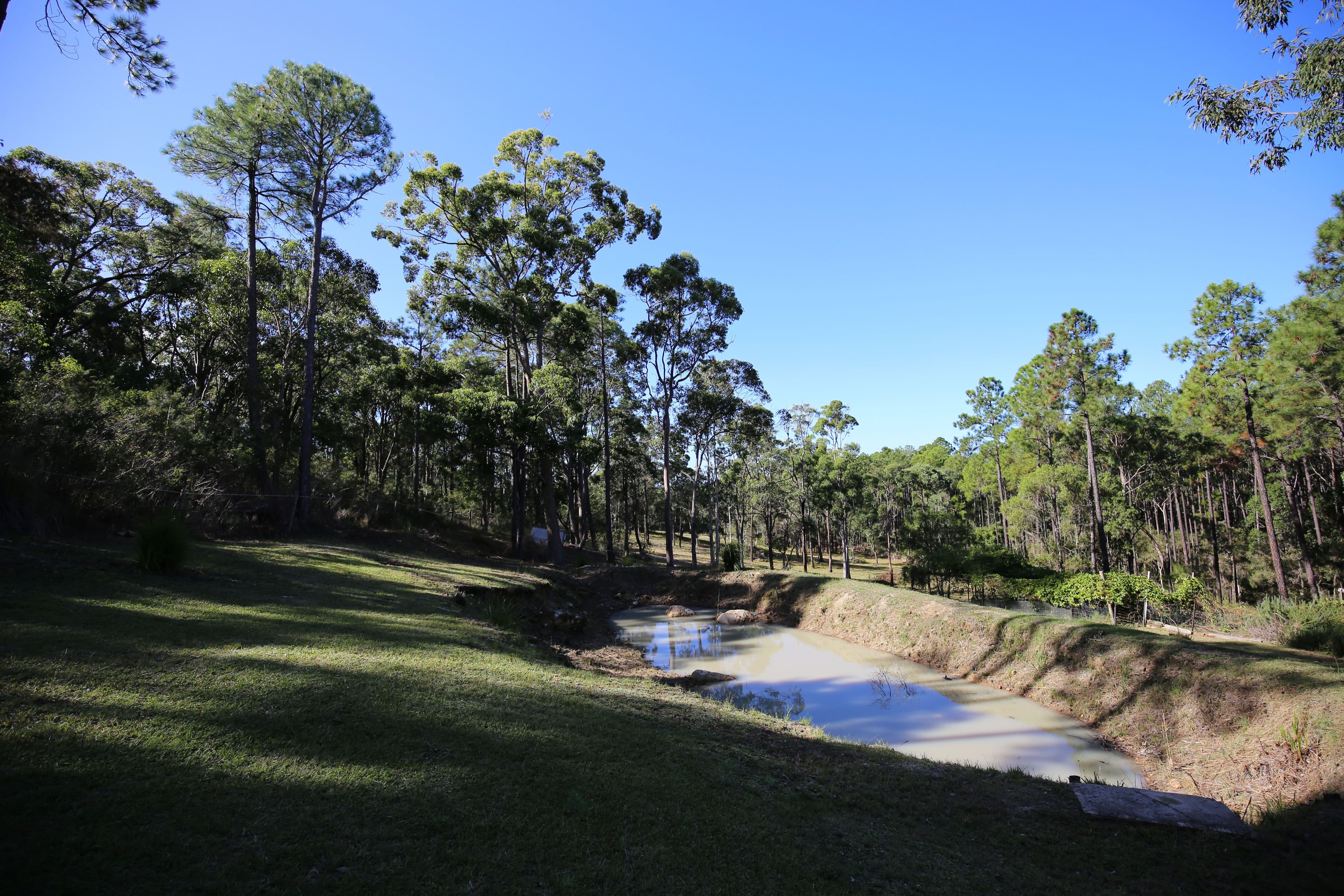 179 Clarke Street, Pindimar - Thumbnail 7