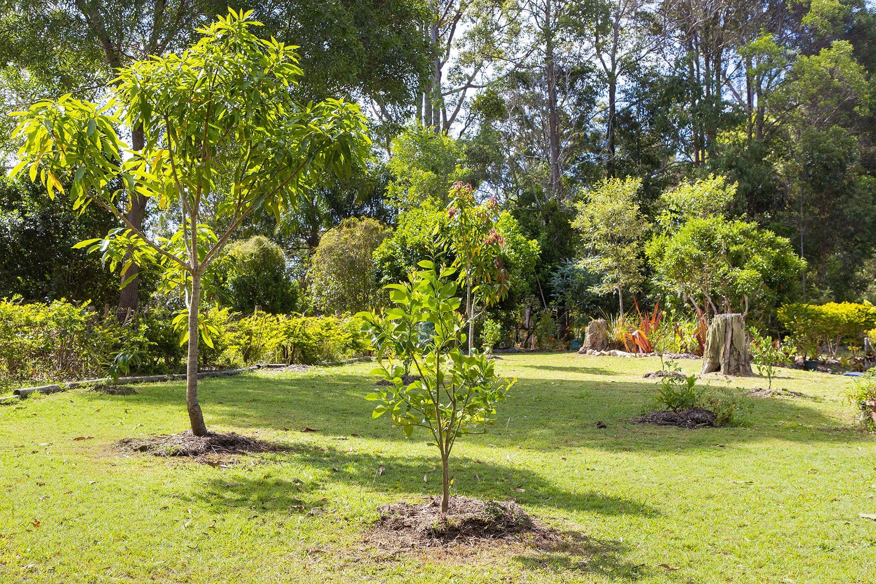105 Forest Acres Drive, Lake Macdonald QLD 4563, Lake Macdonald - Thumbnail 2