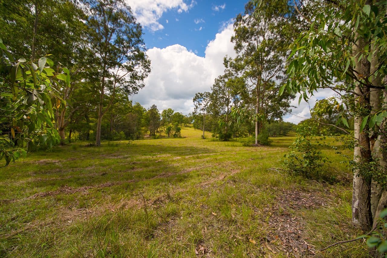 Lot 103 Bull Hill Road, TINONEE NSW 2430, Tinonee - Thumbnail 2
