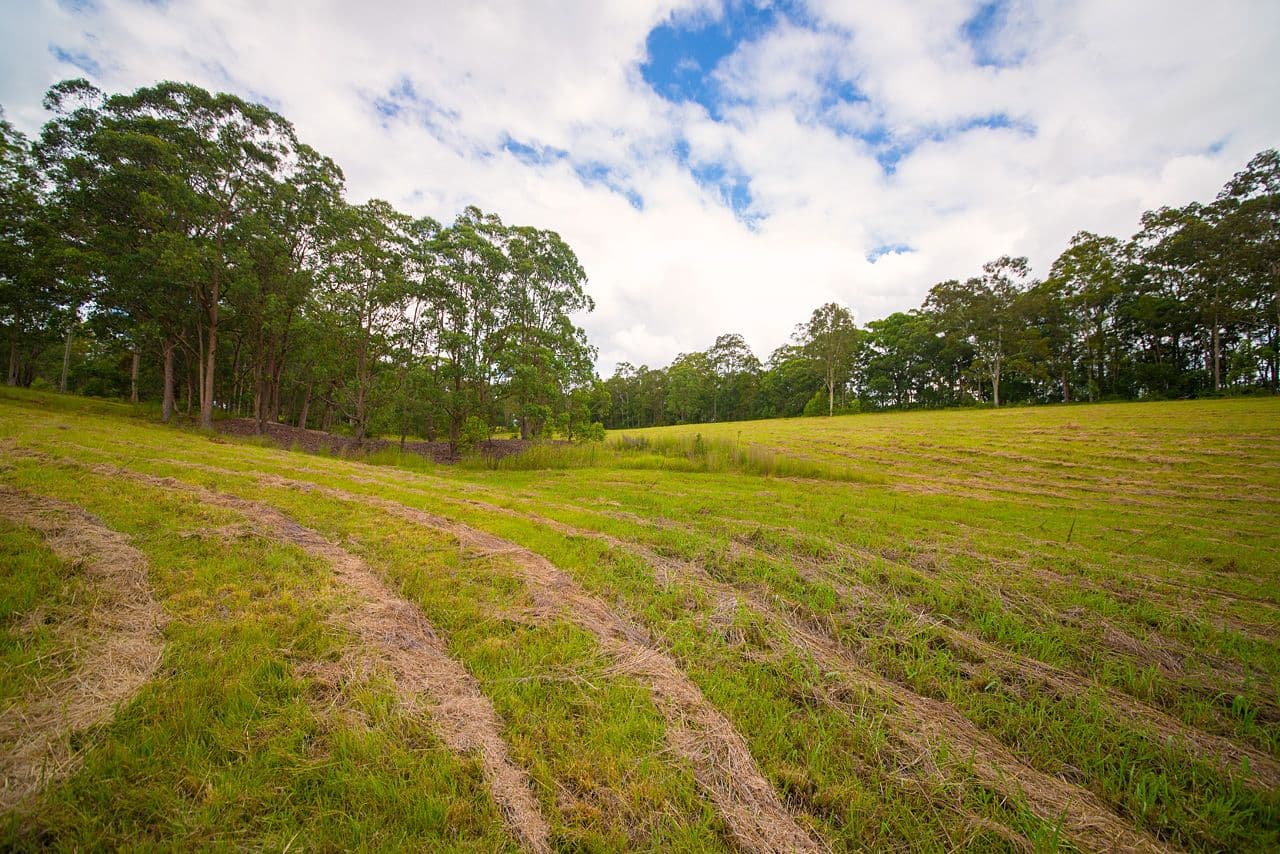 Lot 103 Bull Hill Road, TINONEE NSW 2430, Tinonee - Thumbnail 4