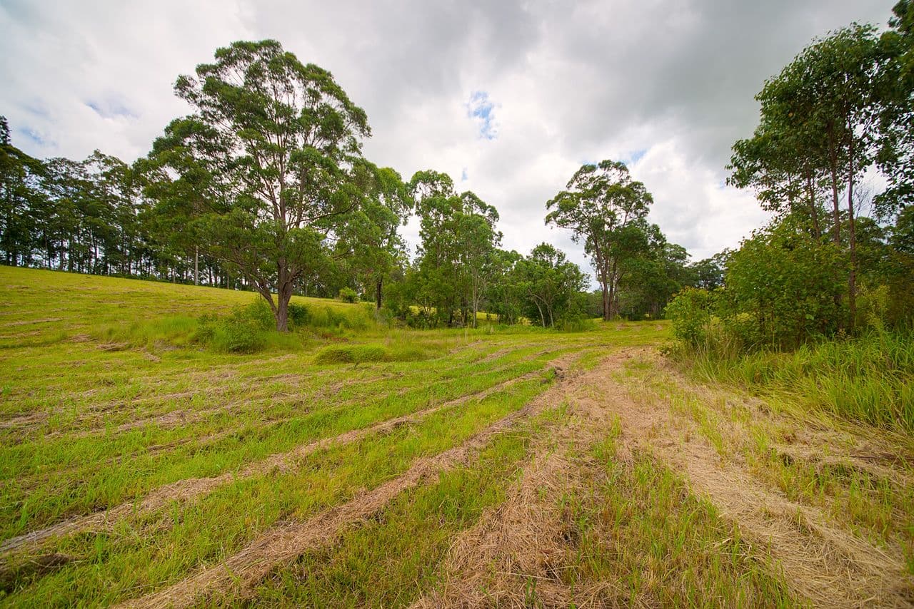 Lot 103 Bull Hill Road, TINONEE NSW 2430, Tinonee - Thumbnail 5