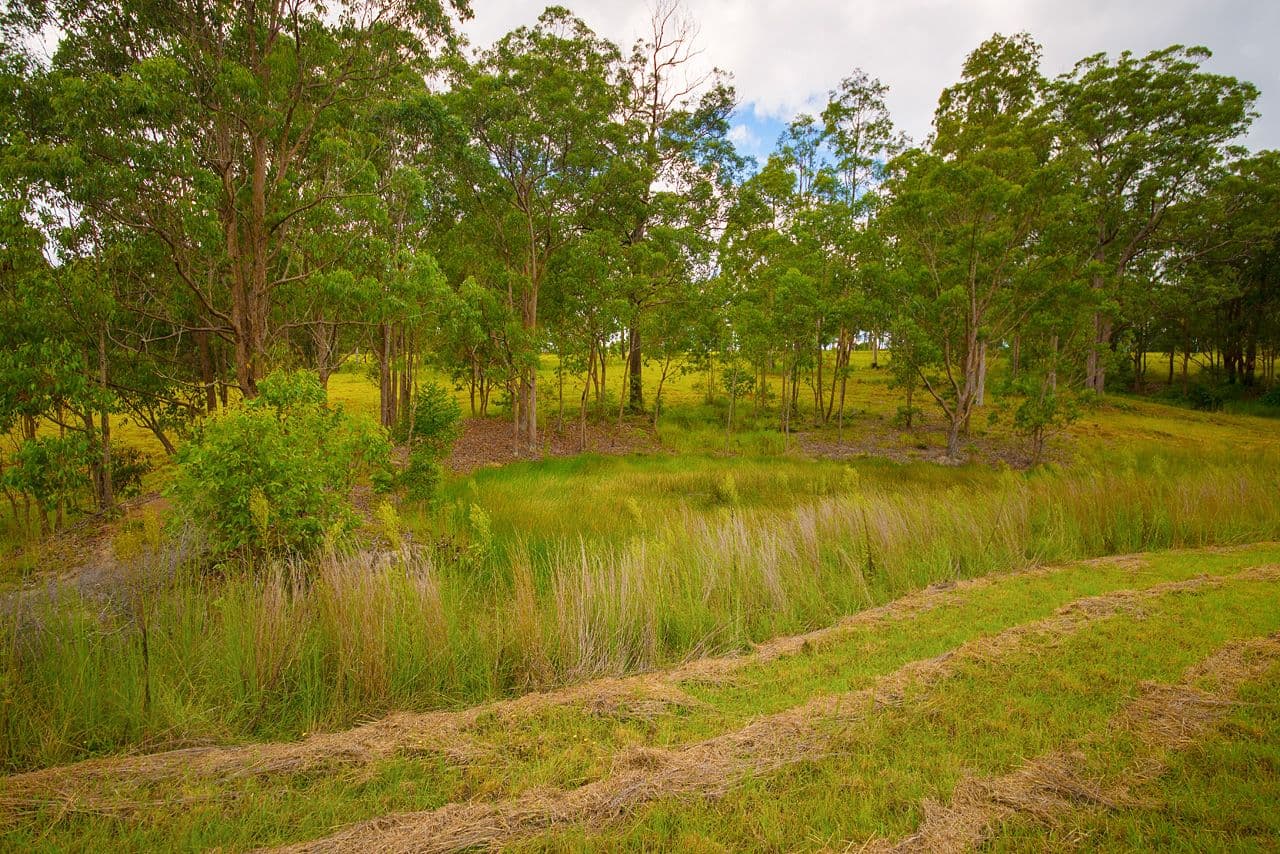 Lot 103 Bull Hill Road, TINONEE NSW 2430, Tinonee - Thumbnail 7