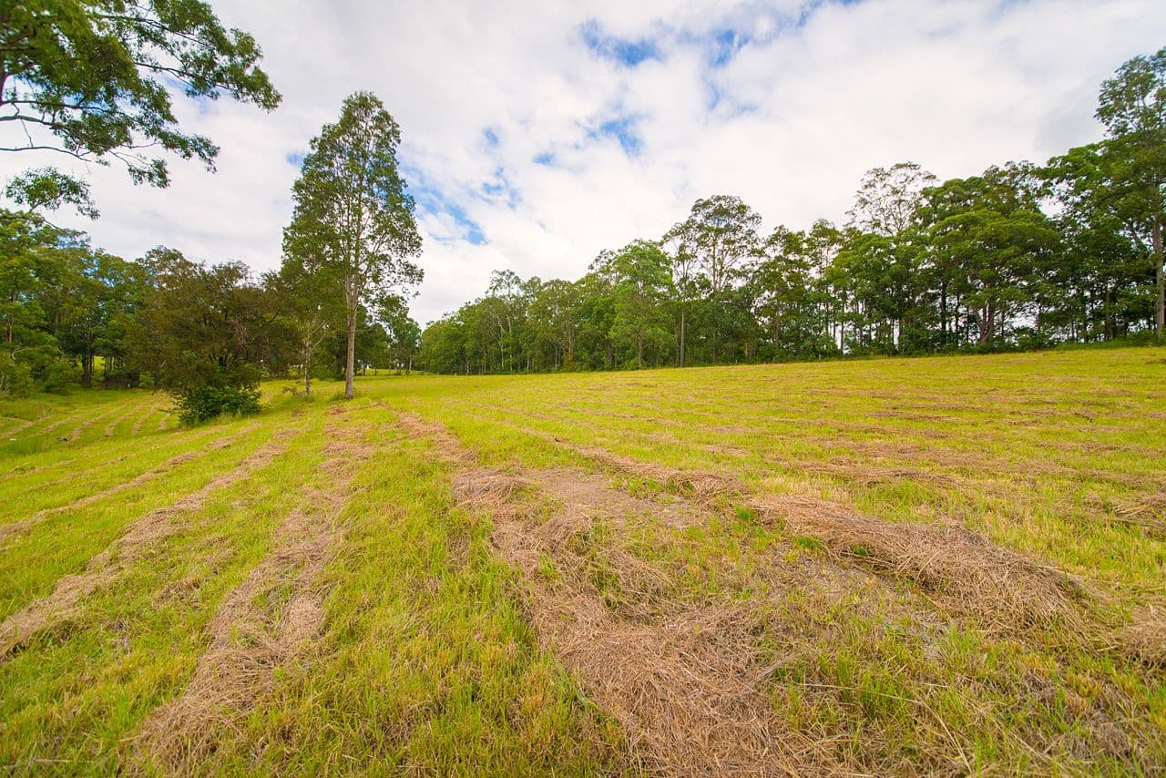 Lot 103 Bull Hill Road, TINONEE NSW 2430, Tinonee - Thumbnail 8