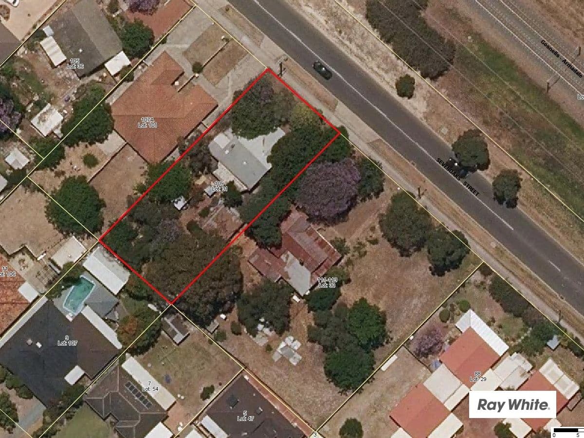 109 Sevenoaks Street, Bentley WA 6102, Bentley - Thumbnail 4