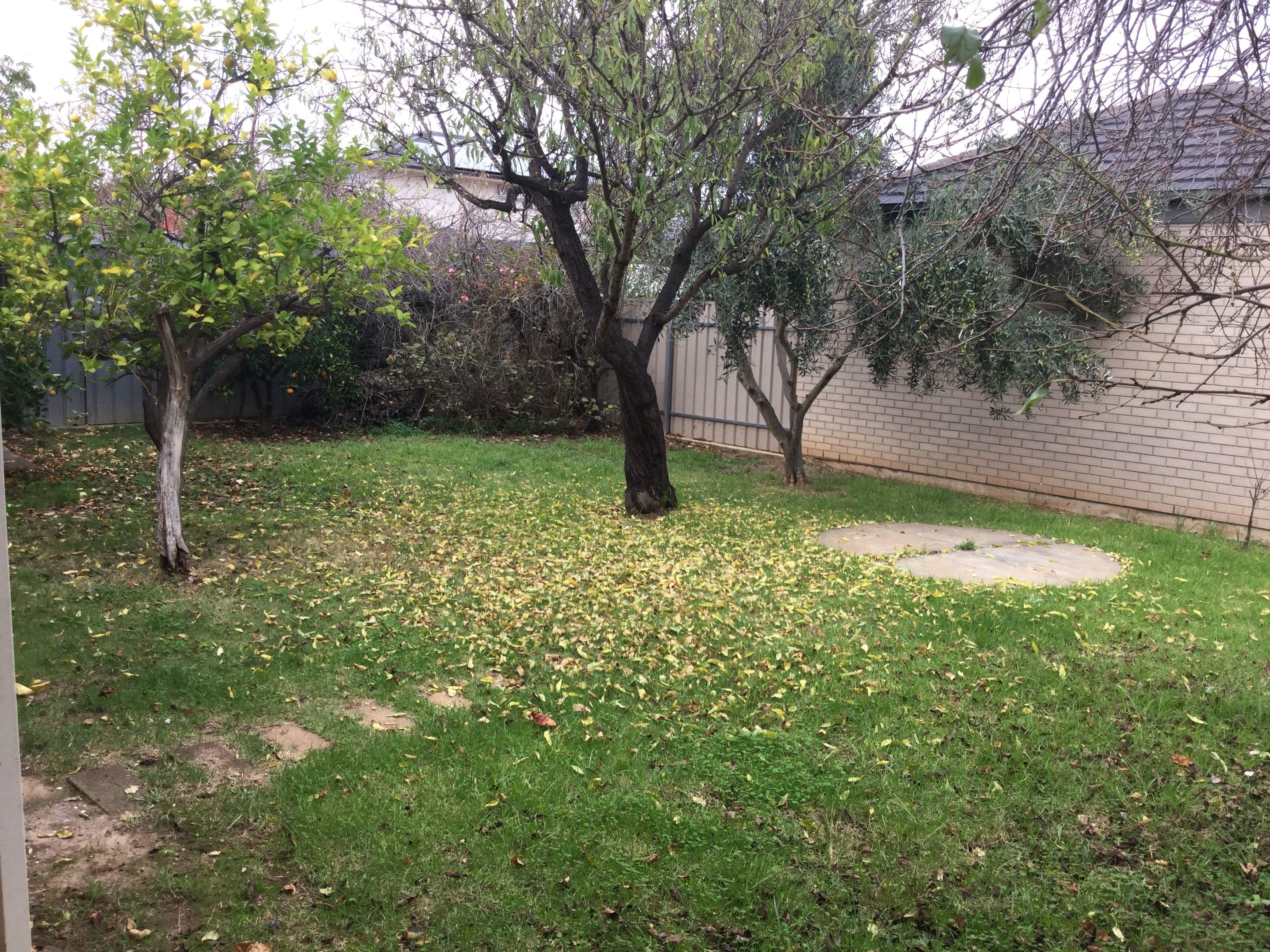 54 Ann Street, Campbelltown SA 5074, Campbelltown - Thumbnail 6