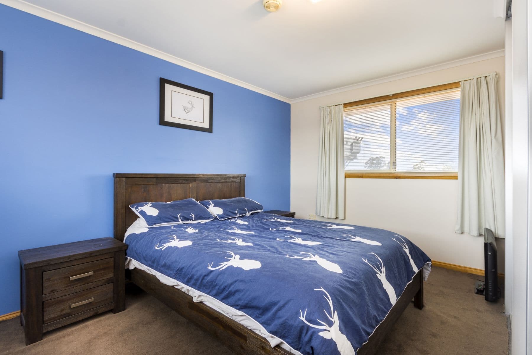 50 Chris Street, Prospect Vale TAS 7250, Prospect Vale - Thumbnail 5