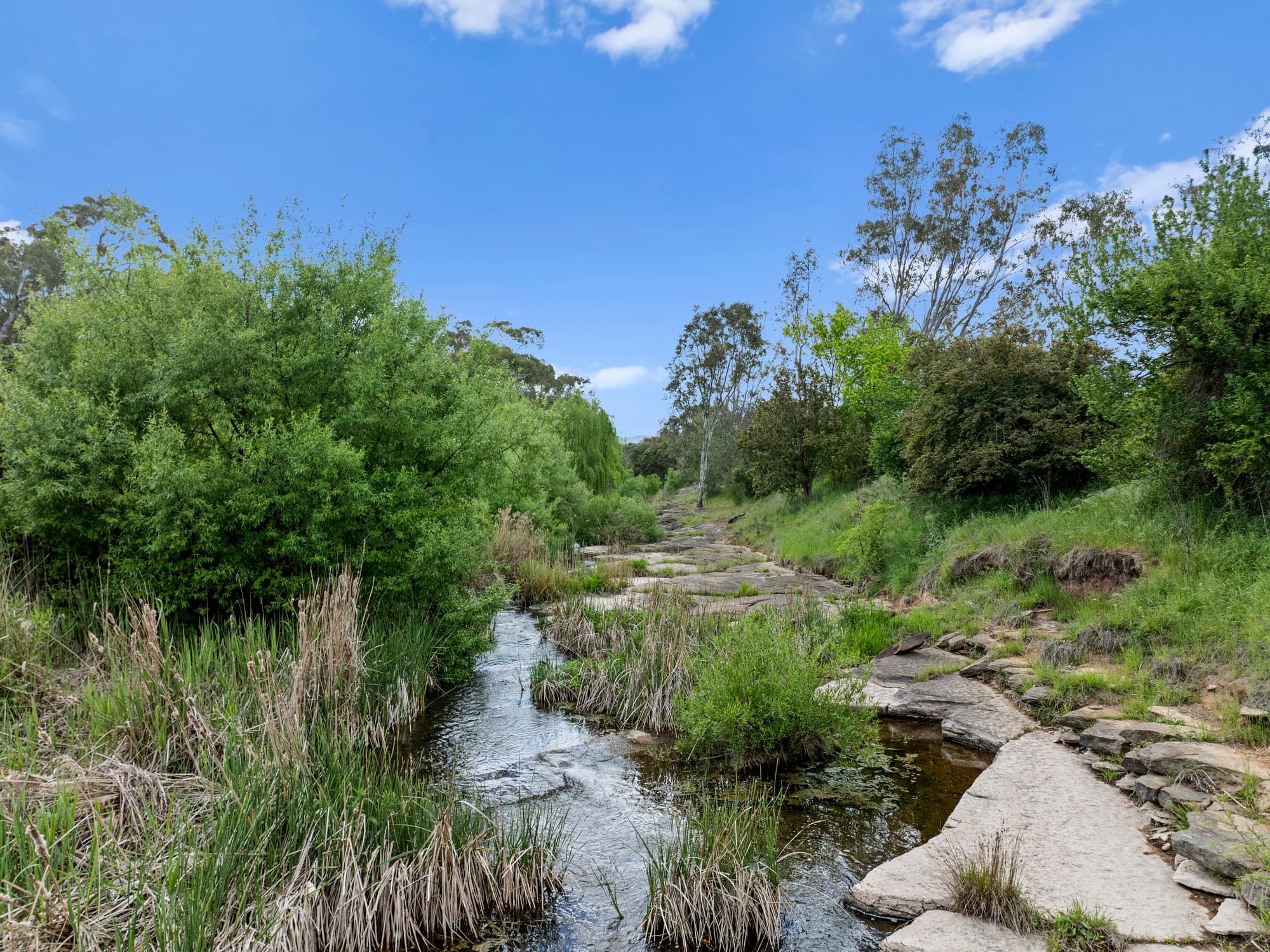 560 Old Tolmie Road, Mansfield, Mansfield - Thumbnail 7