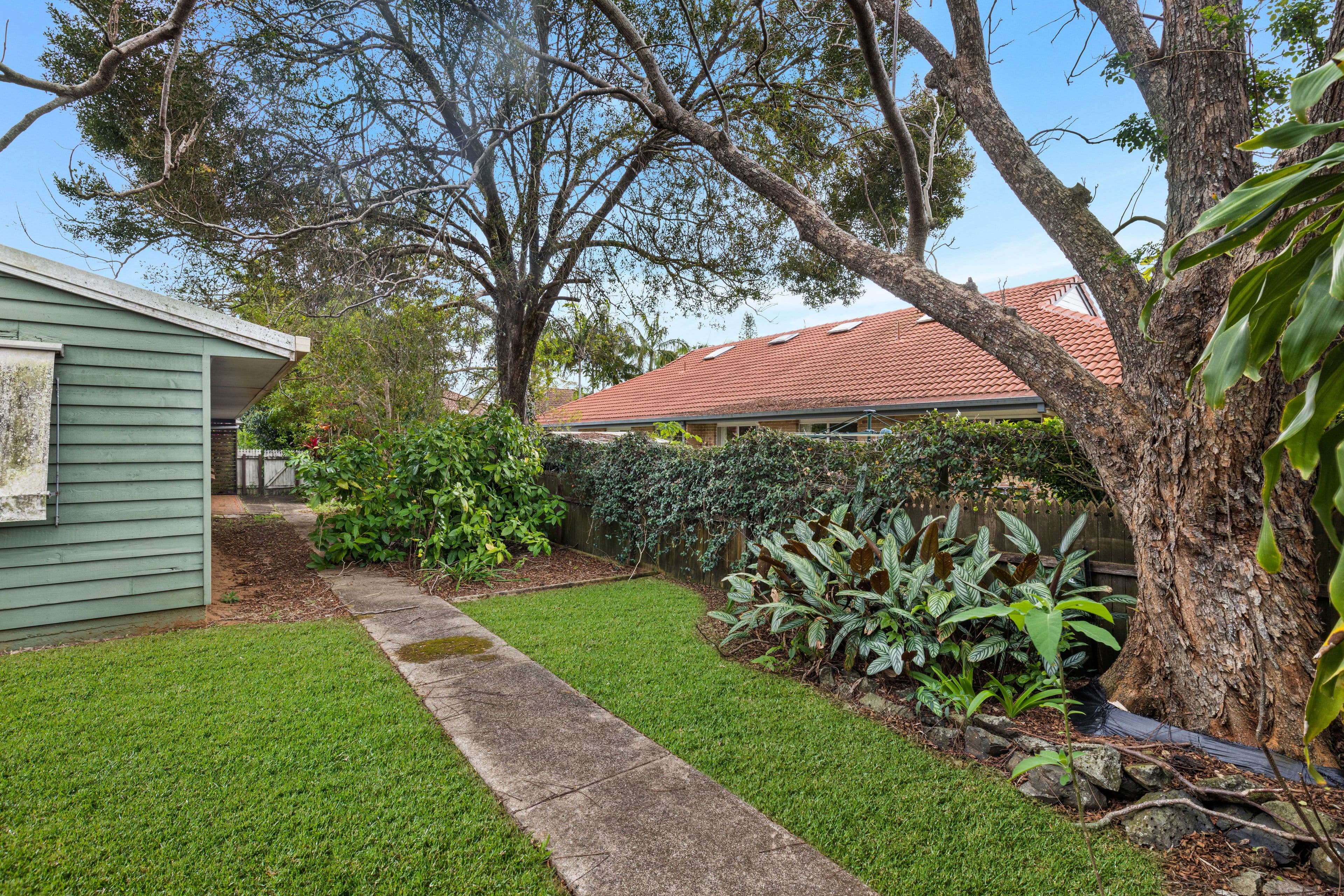 18 Water Street, Buderim QLD 4556, Buderim - Thumbnail 5