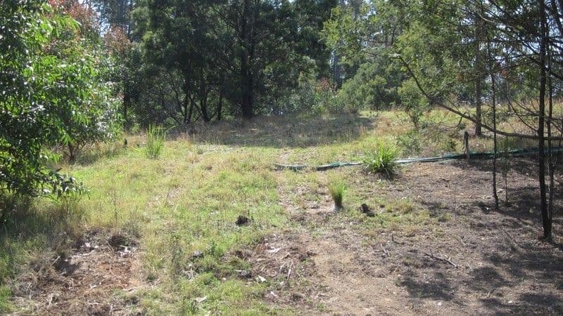 5 Broomfield Crescent, LONG BEACH NSW 2536, Long Beach - Thumbnail 2