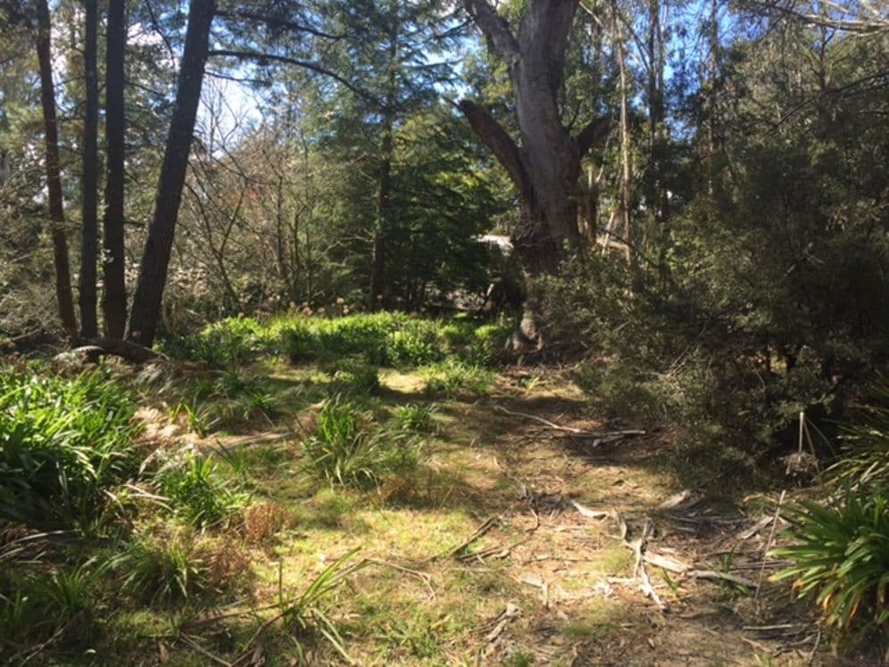 11 Victoria Street, Mount Victoria NSW 2786, Mount Victoria - Image 1