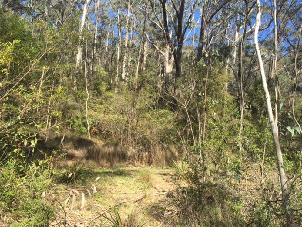 11 Victoria Street, Mount Victoria NSW 2786, Mount Victoria - Thumbnail 2