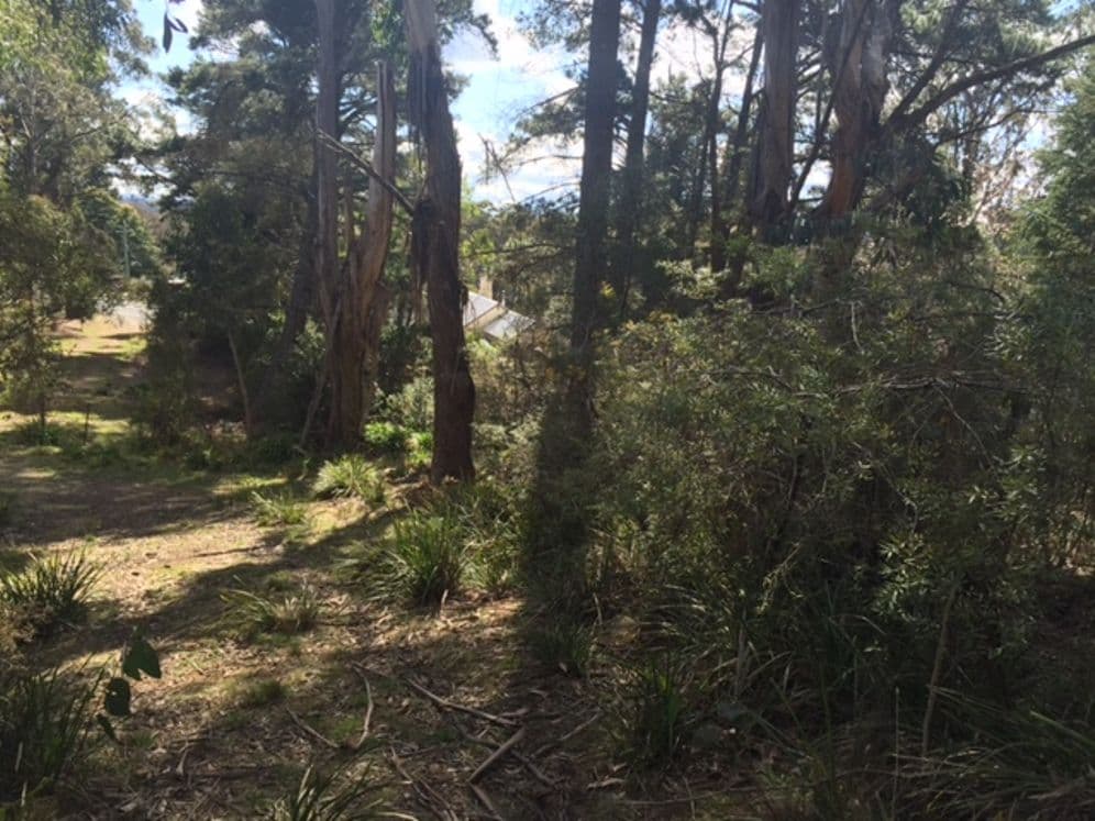 11 Victoria Street, Mount Victoria NSW 2786, Mount Victoria - Thumbnail 4