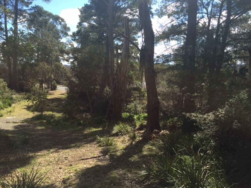 11 Victoria Street, Mount Victoria NSW 2786, Mount Victoria - Thumbnail 5
