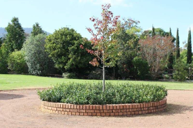 2 Little Street, Scone NSW 2337, Scone - Thumbnail 2