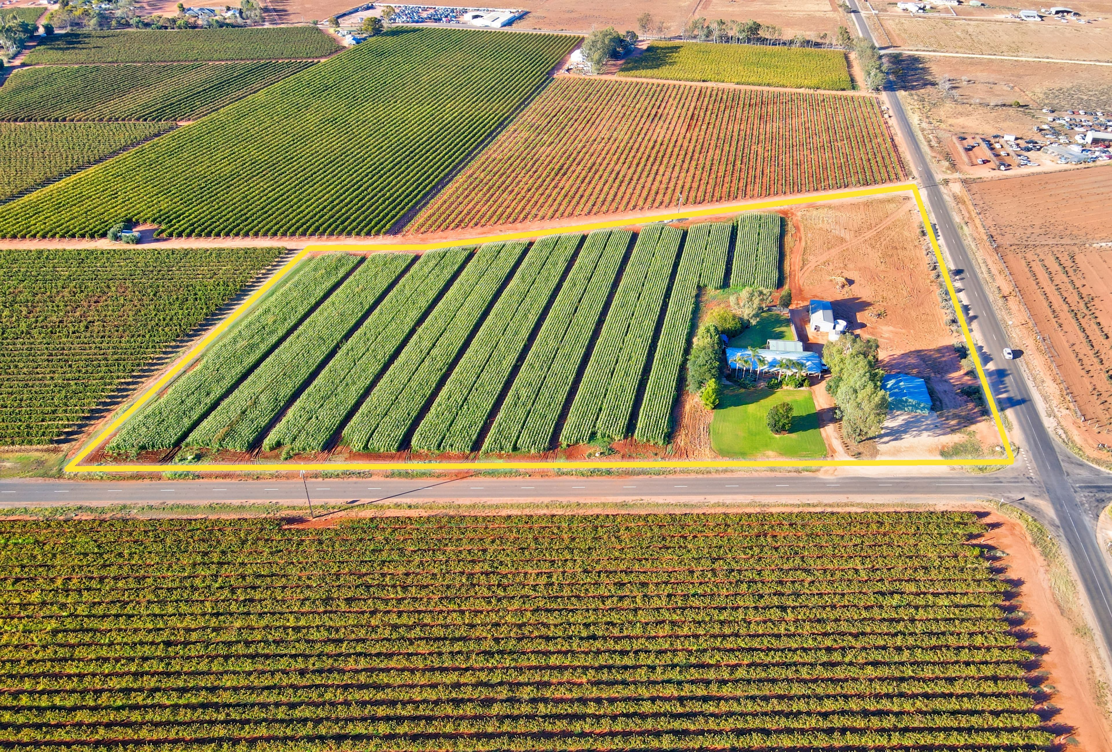 571 Hunt Road, Loveday SA 5345, Loveday - Thumbnail 2