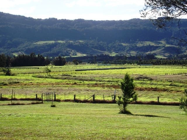 Lot 10, 4 Meyer Place, BOMADERRY NSW 2541, Bomaderry - Image 1