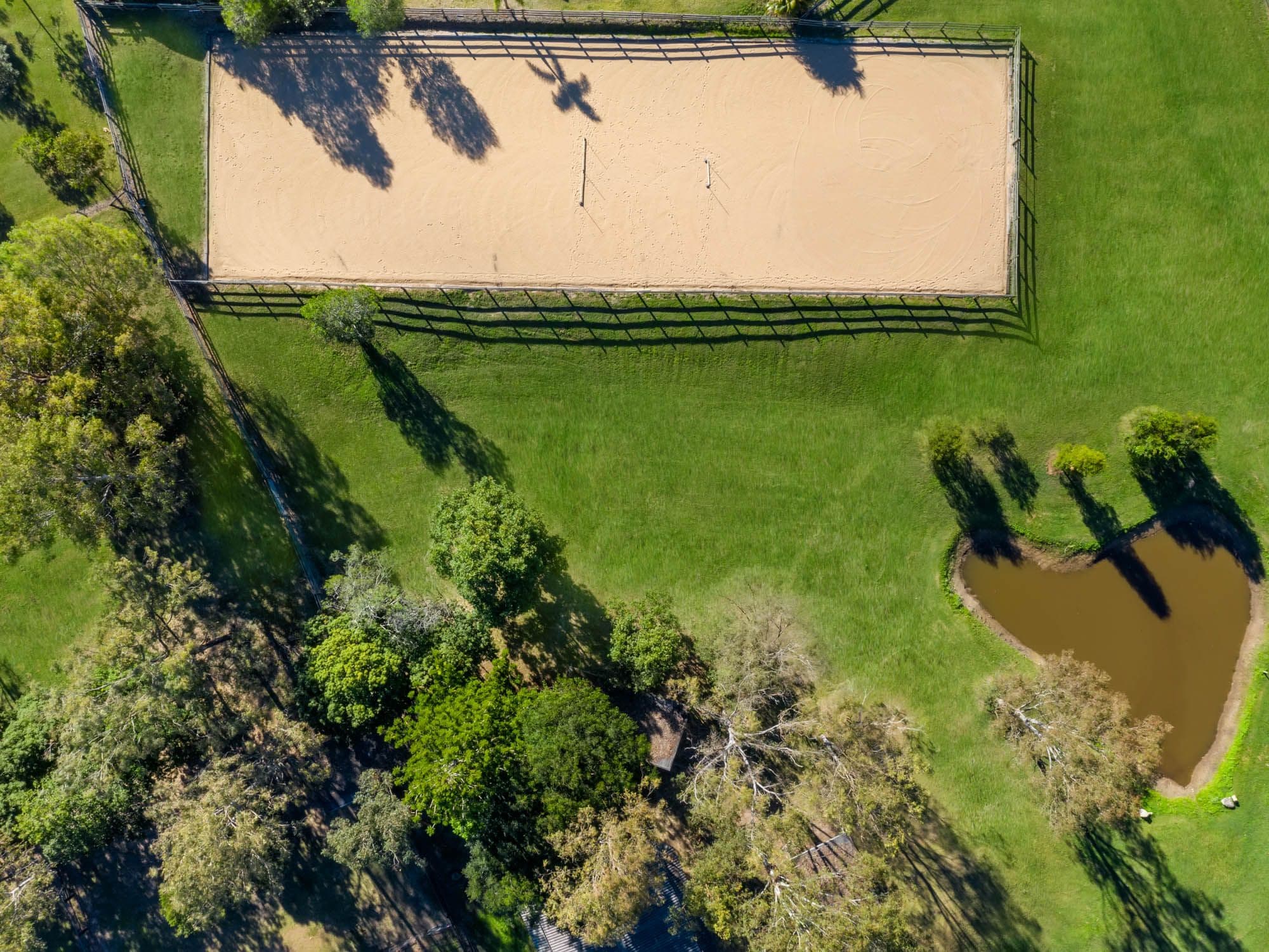 16 Davison Road, Camp Mountain QLD 4520, Camp Mountain - Thumbnail 4