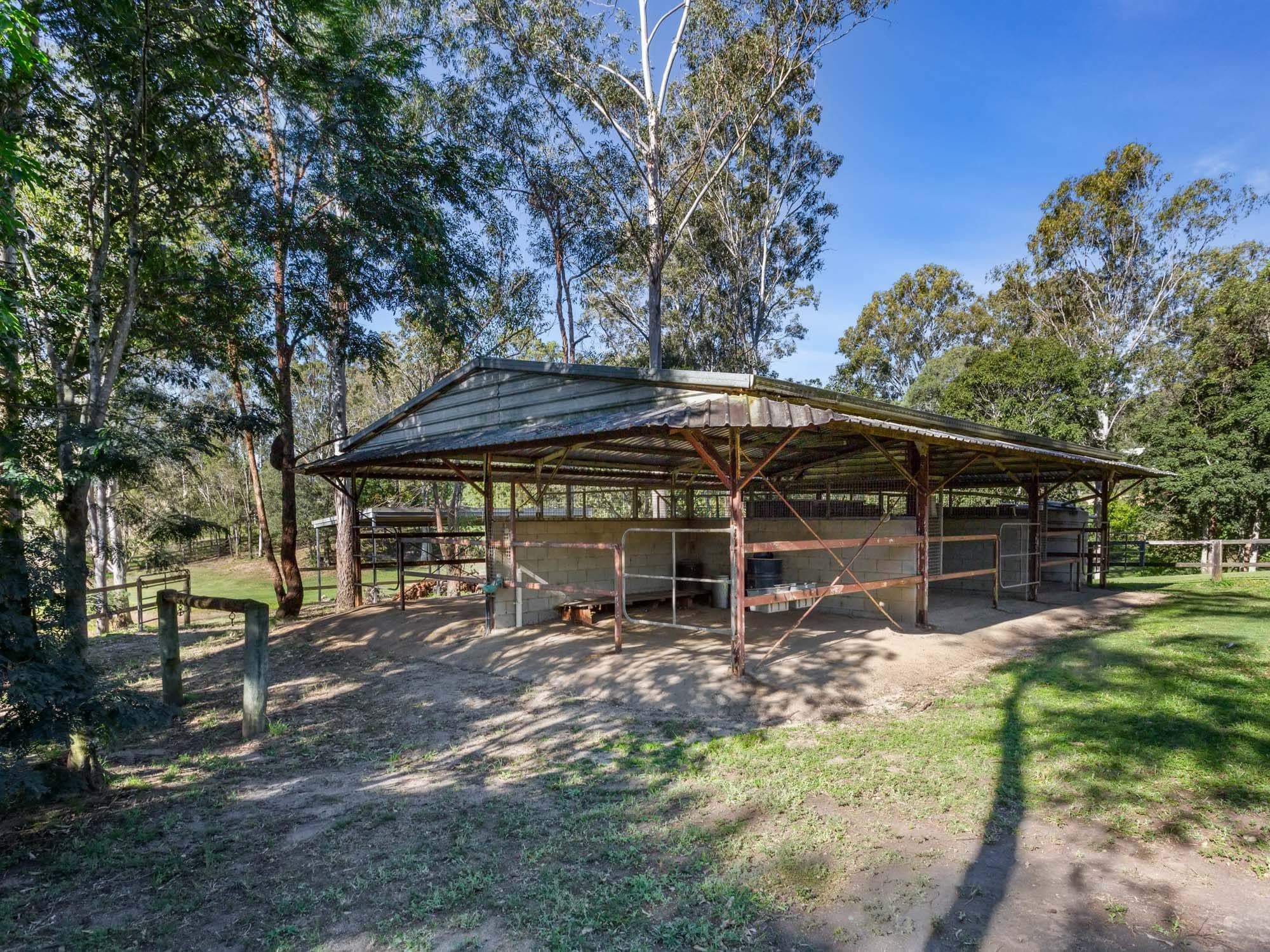 16 Davison Road, Camp Mountain QLD 4520, Camp Mountain - Thumbnail 6