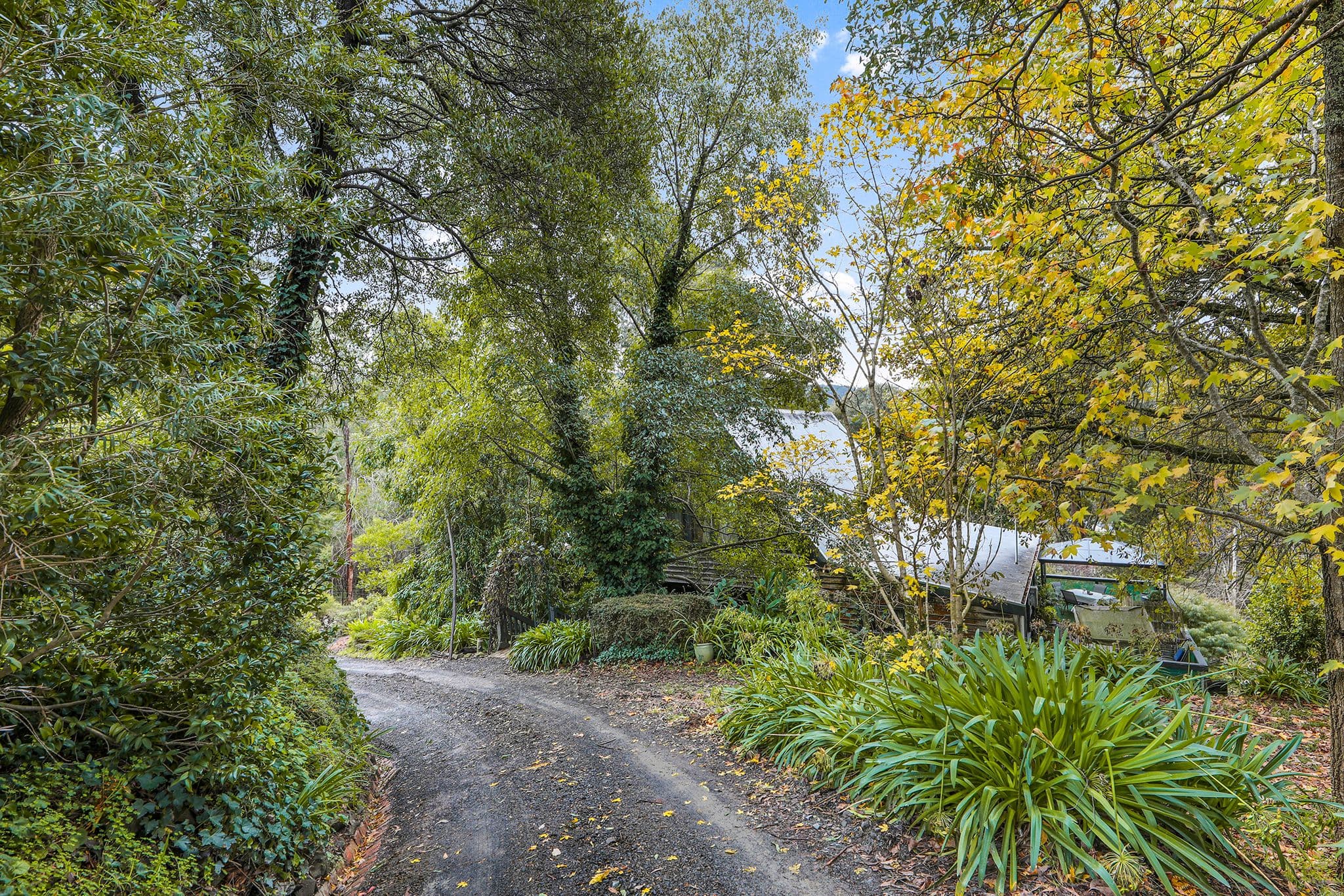 485 Neerim North-Noojee Road, Noojee VIC 3833, Noojee - Thumbnail 2