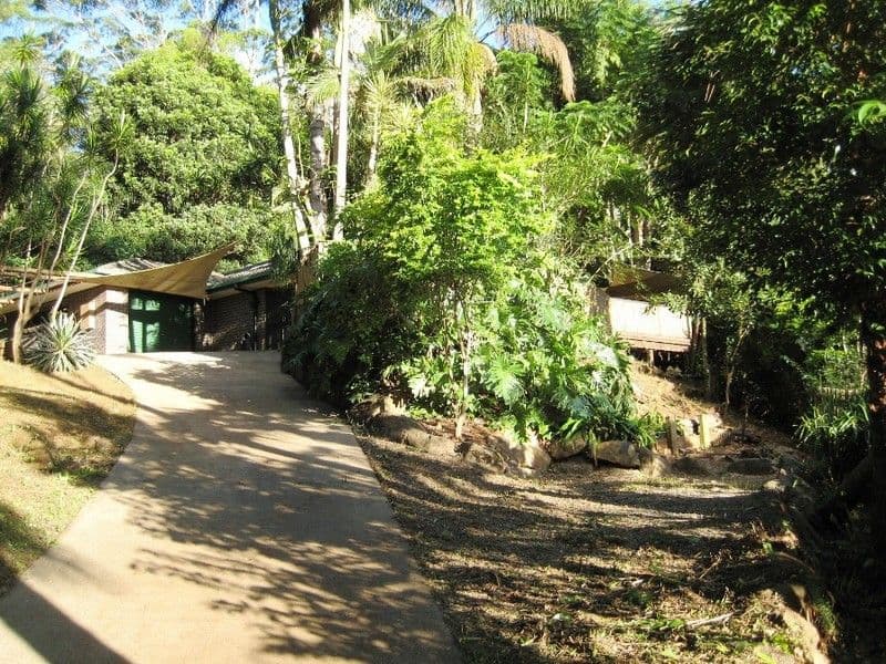 13 Mayon Court, TAMBORINE MOUNTAIN QLD 4272, Tamborine Mountain - Thumbnail 4