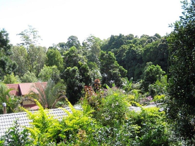 13 Mayon Court, TAMBORINE MOUNTAIN QLD 4272, Tamborine Mountain - Thumbnail 5