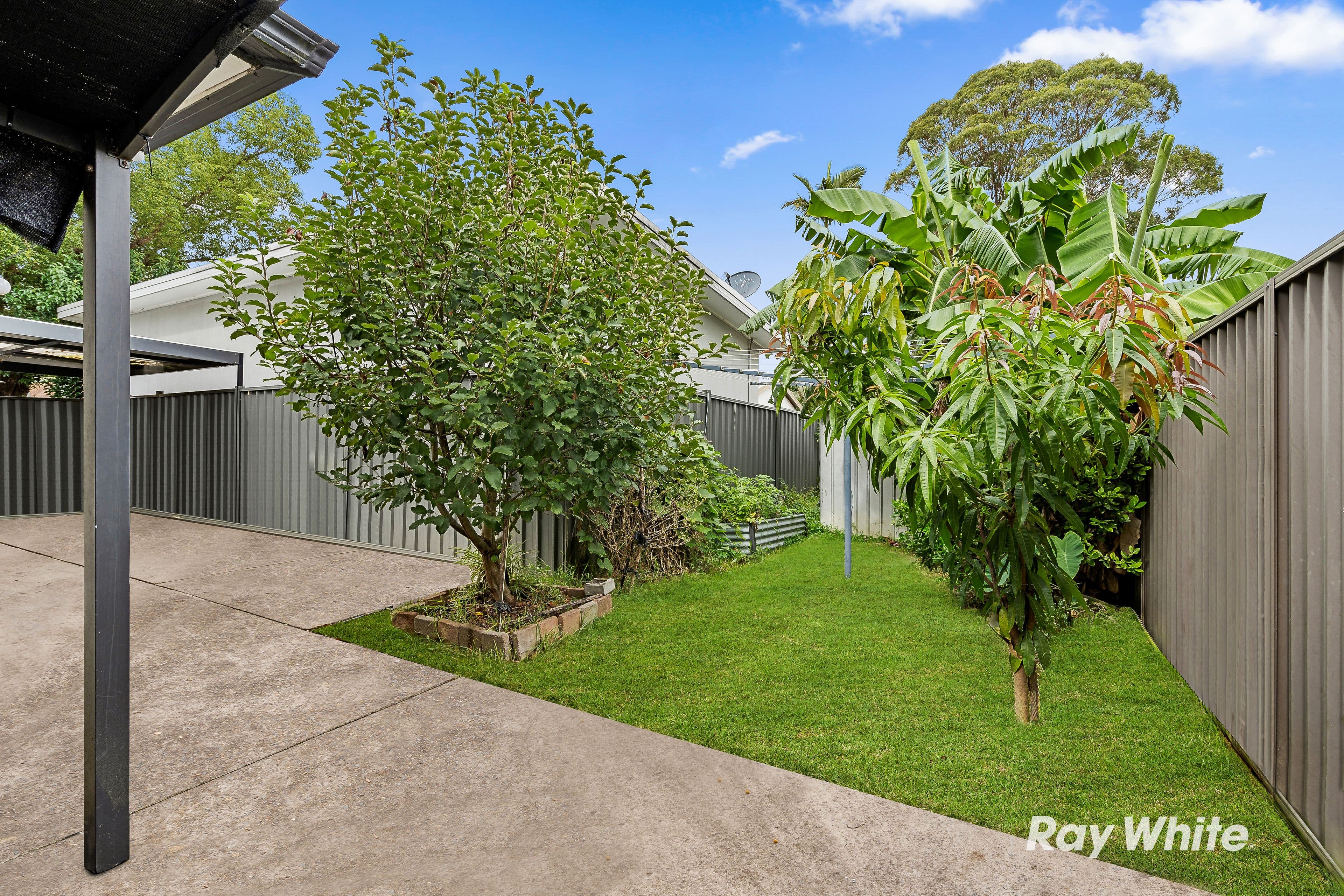 3 Kellaway Street, Doonside NSW 2767, Doonside - Thumbnail 3