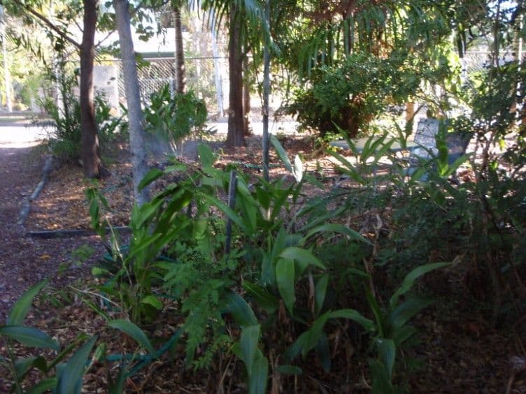 21 Colster Crescent, WAGAMAN NT 0810, Wagaman - Thumbnail 5