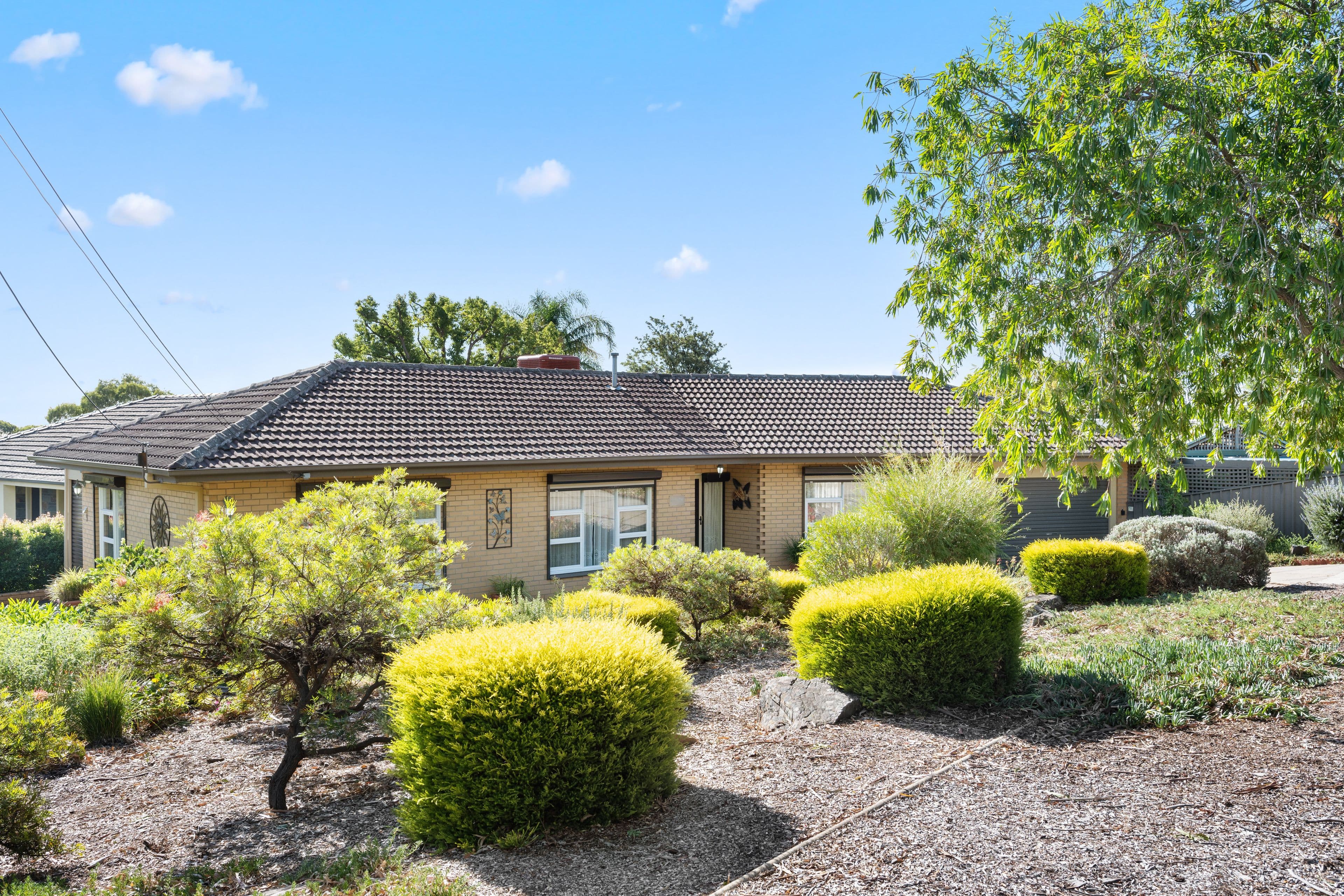 9 Belleview Avenue, Panorama SA 5041, Panorama - Thumbnail 2