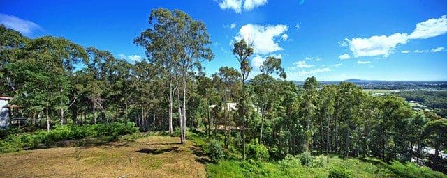 35 Fountain Road, BUDERIM QLD 4556, Buderim - Thumbnail 2