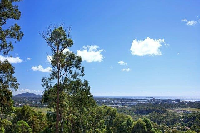 35 Fountain Road, BUDERIM QLD 4556, Buderim - Thumbnail 5
