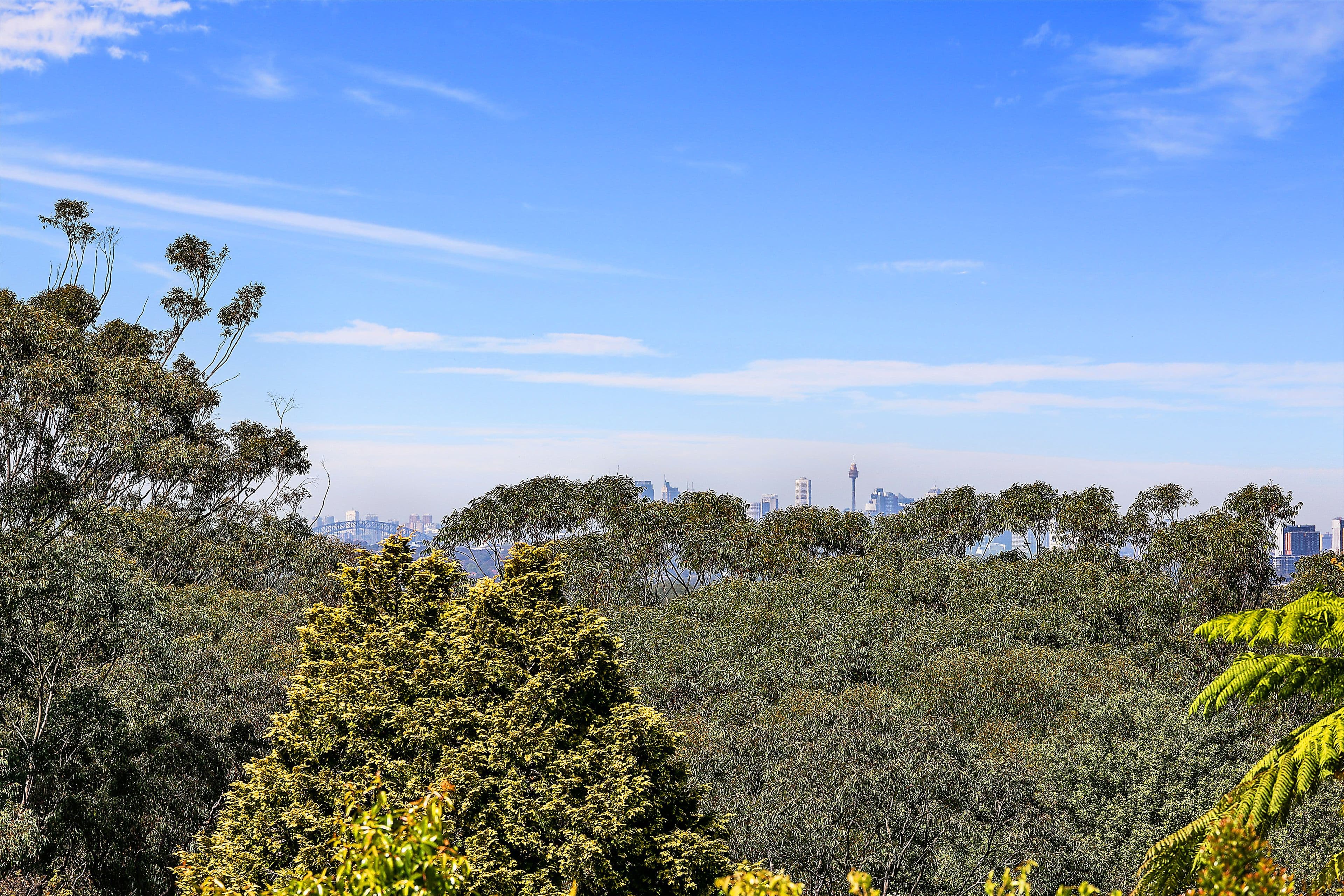 92 Browns Road, Wahroonga - Thumbnail 5