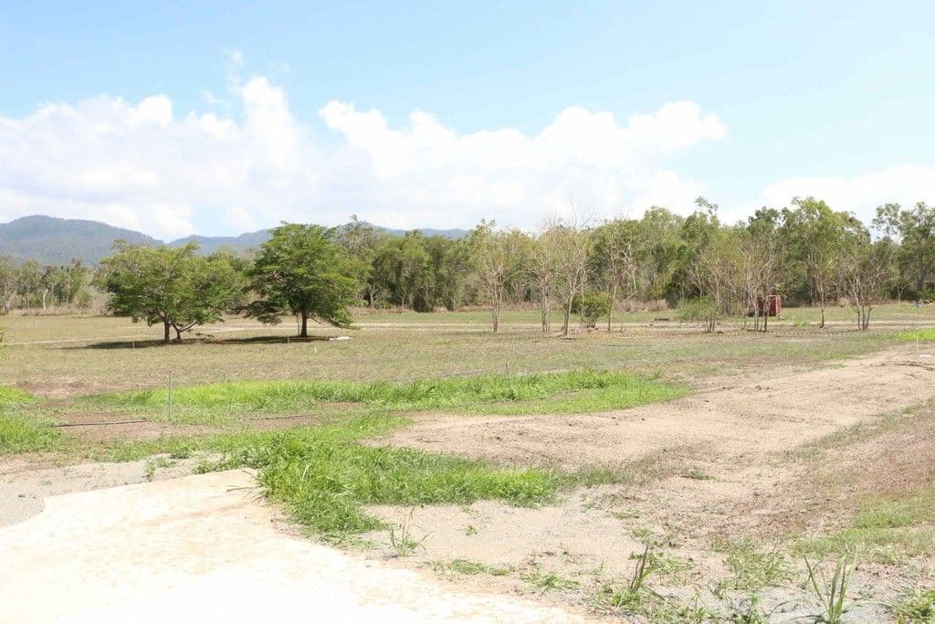 Lot 42 Botanica Drive, Cannonvale QLD 4802, Cannonvale - Thumbnail 4