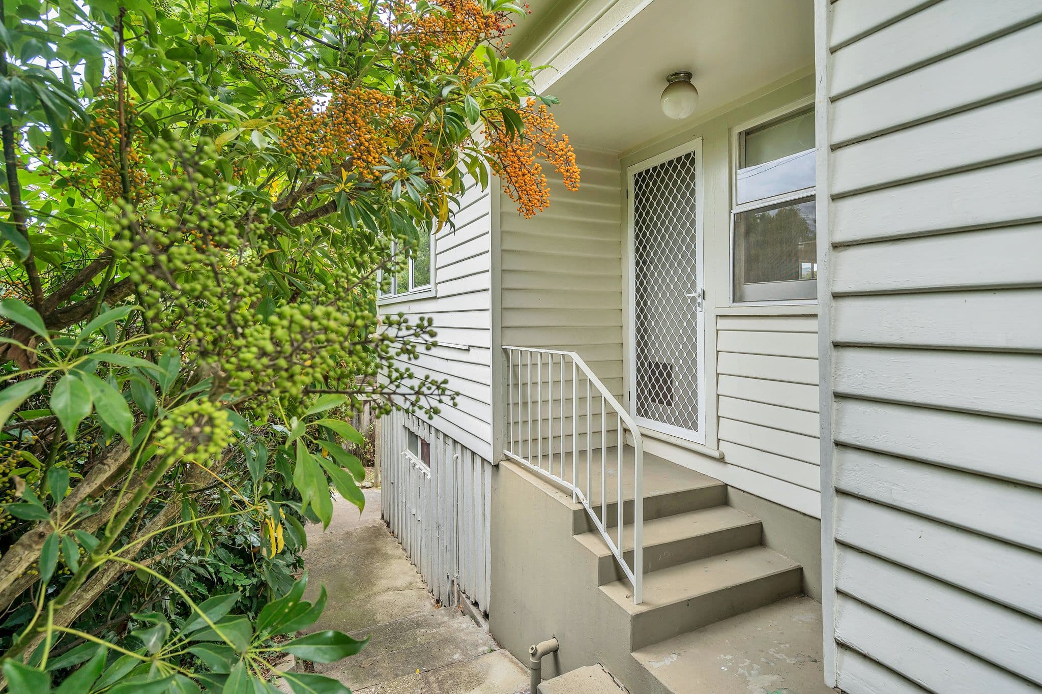 13 Lanoma Street, East Launceston TAS 7250, East Launceston - Thumbnail 2