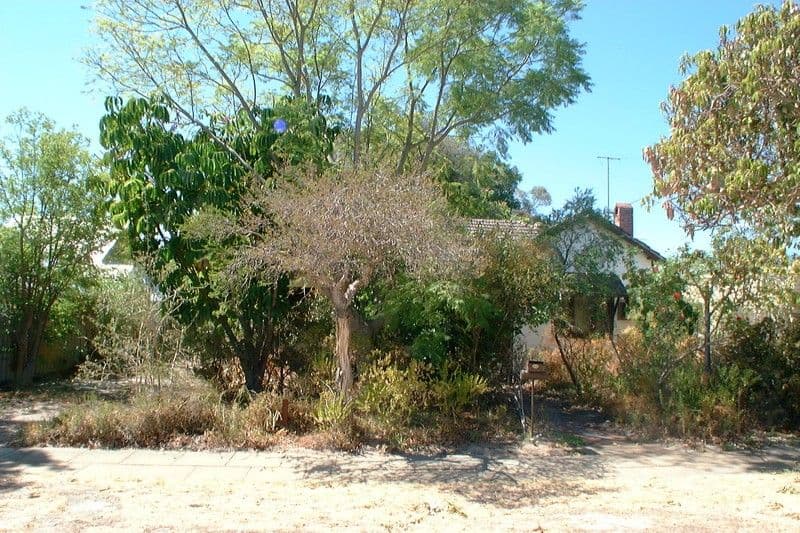 20 Caledonian Avenue, Maylands WA 6051, Maylands - Thumbnail 2
