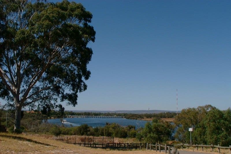 20 Caledonian Avenue, Maylands WA 6051, Maylands - Thumbnail 3