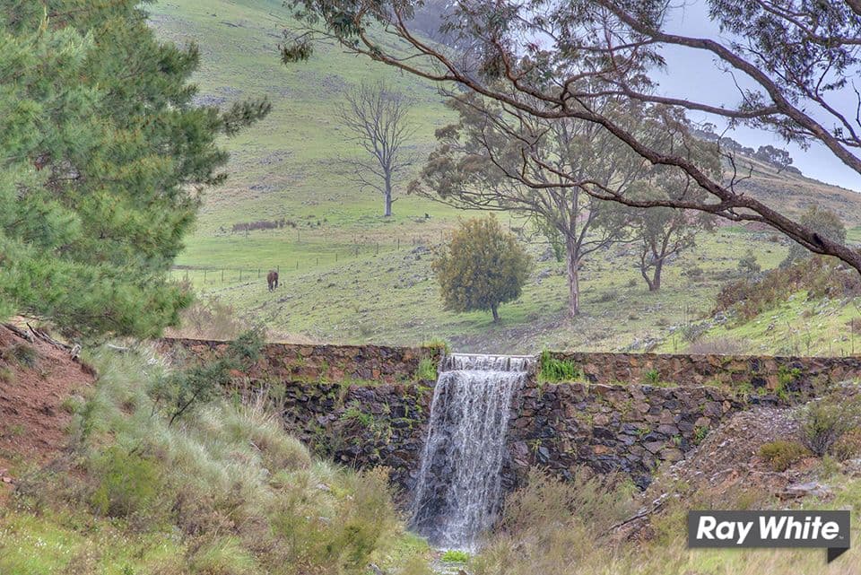 1300 Mountain Creek Road, Mullion - Thumbnail 2
