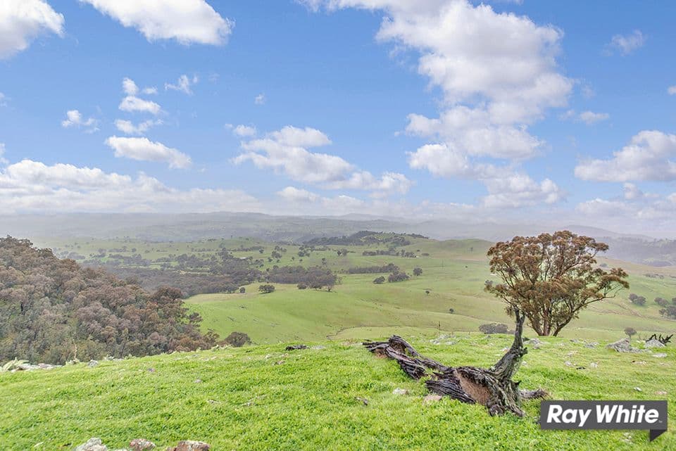 1300 Mountain Creek Road, Mullion - Thumbnail 3