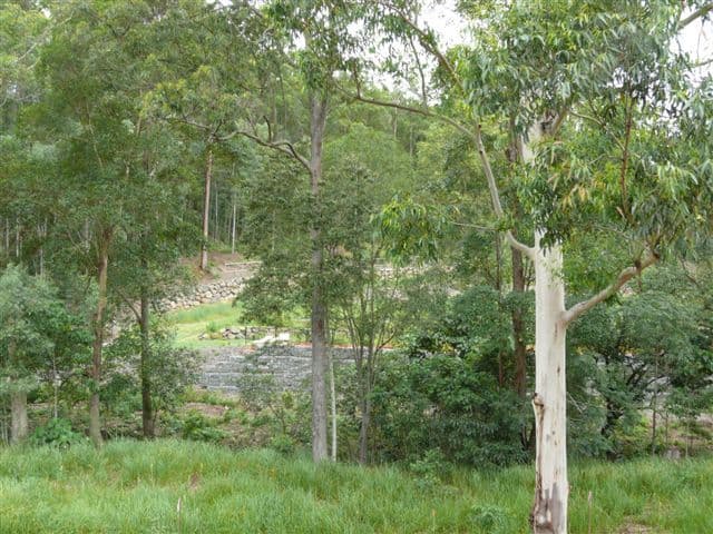 66 Roberts Drive, MAUDSLAND QLD 4210, Maudsland - Thumbnail 7
