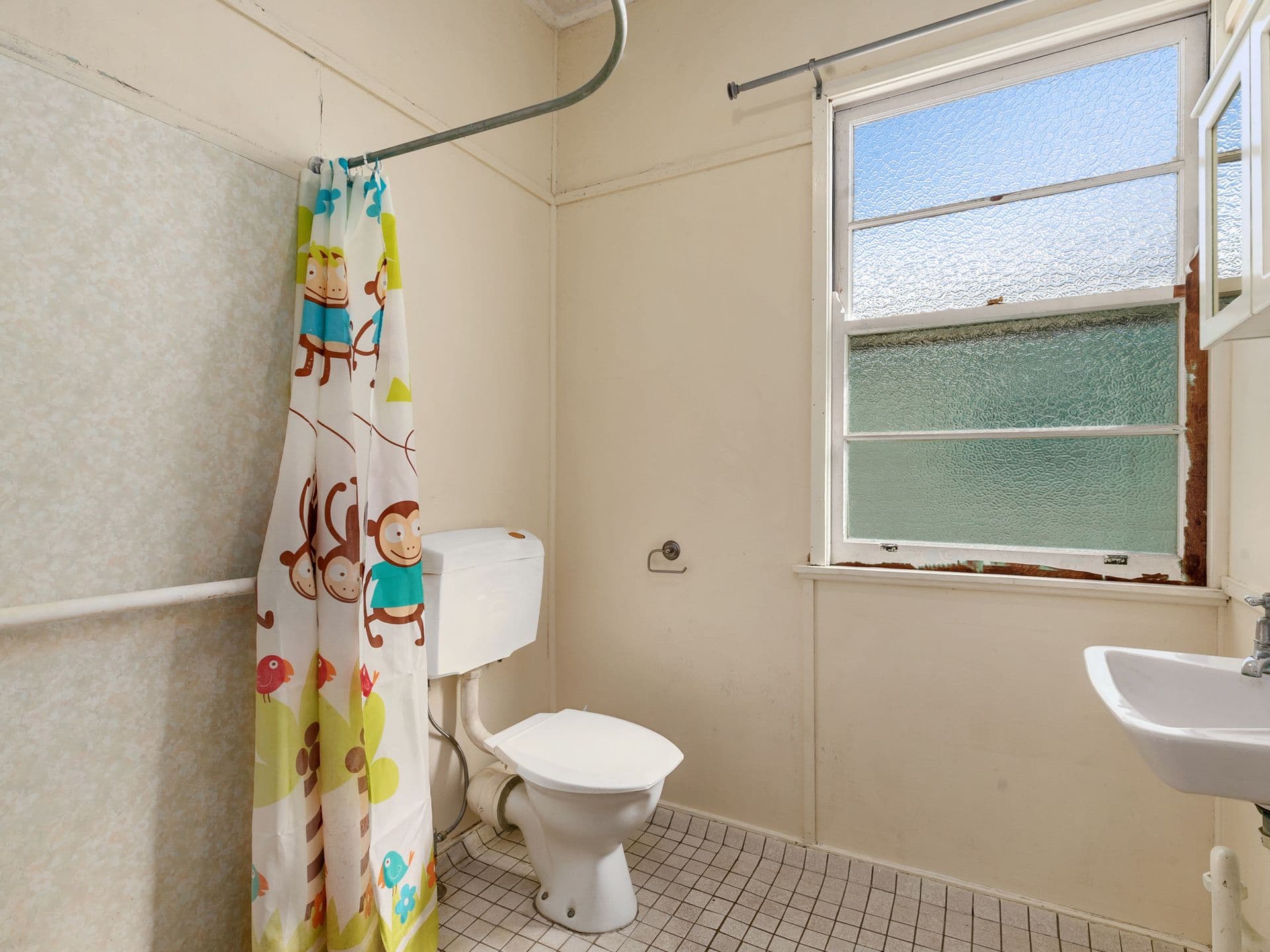 38 Rita Street, Holland Park QLD 4121, Holland Park - Thumbnail 6