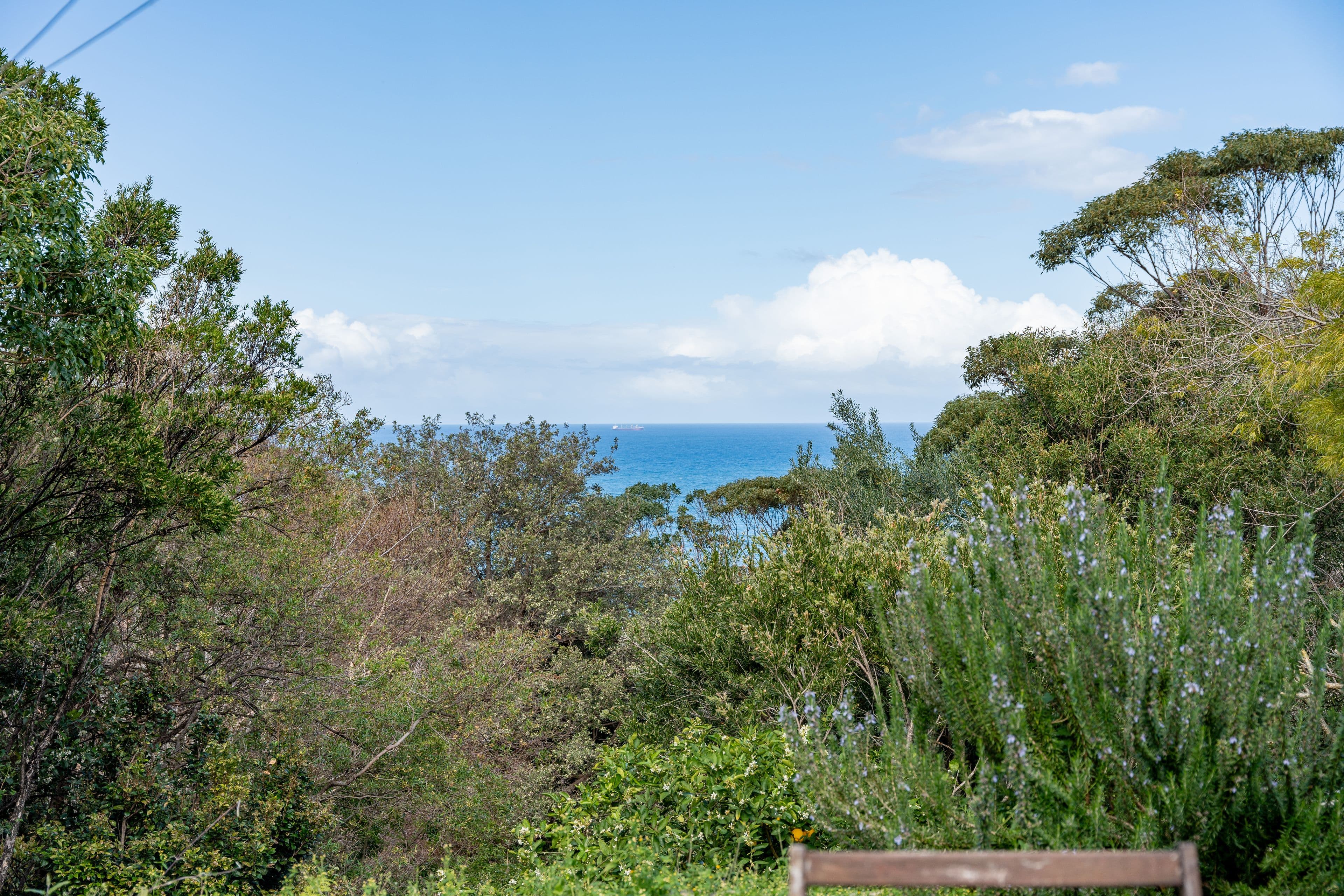 451 Lawrence Hargrave Drive, Scarborough NSW 2515, Scarborough - Thumbnail 3
