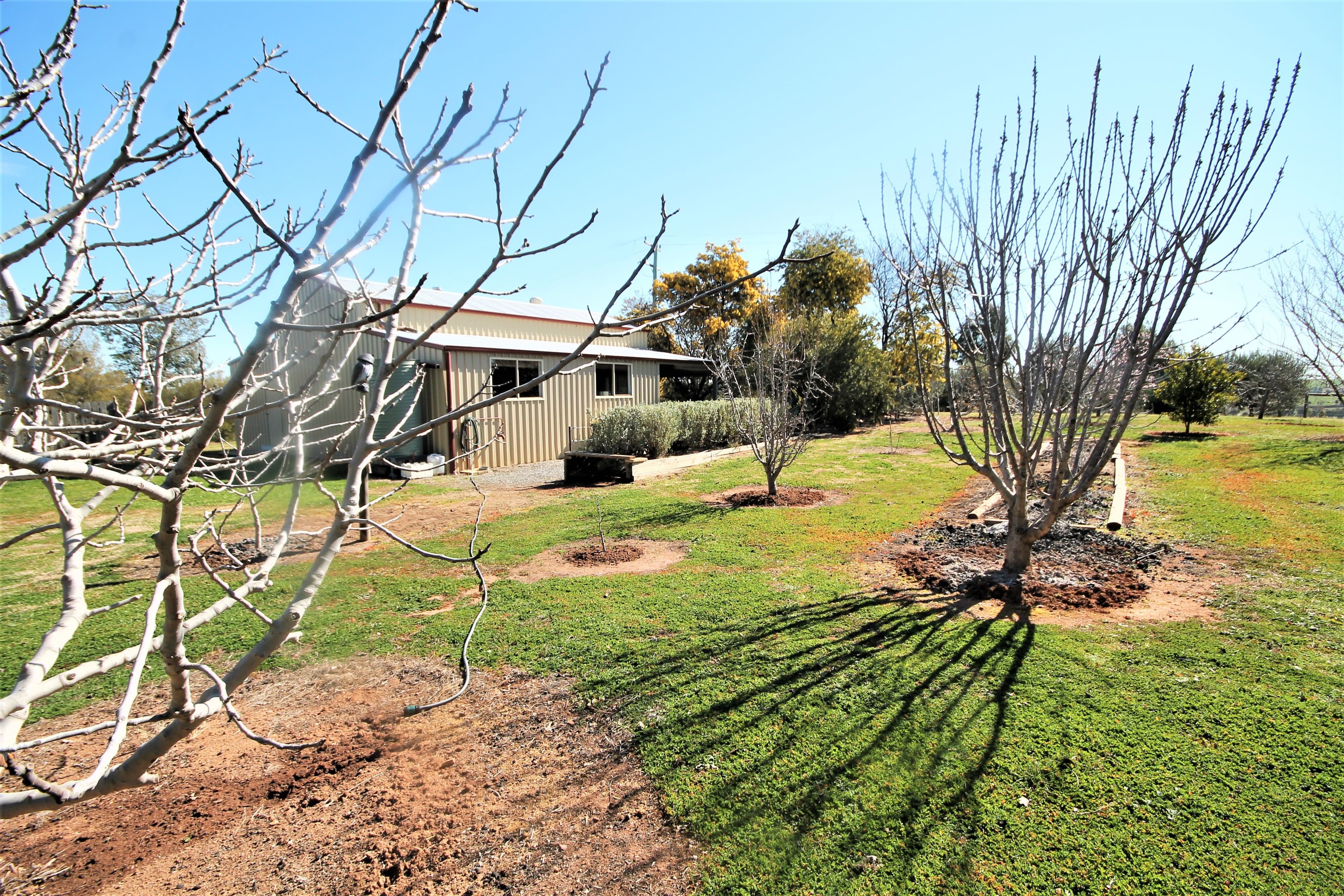 276 Pattersons Lane, Young NSW 2594, Young - Image 1