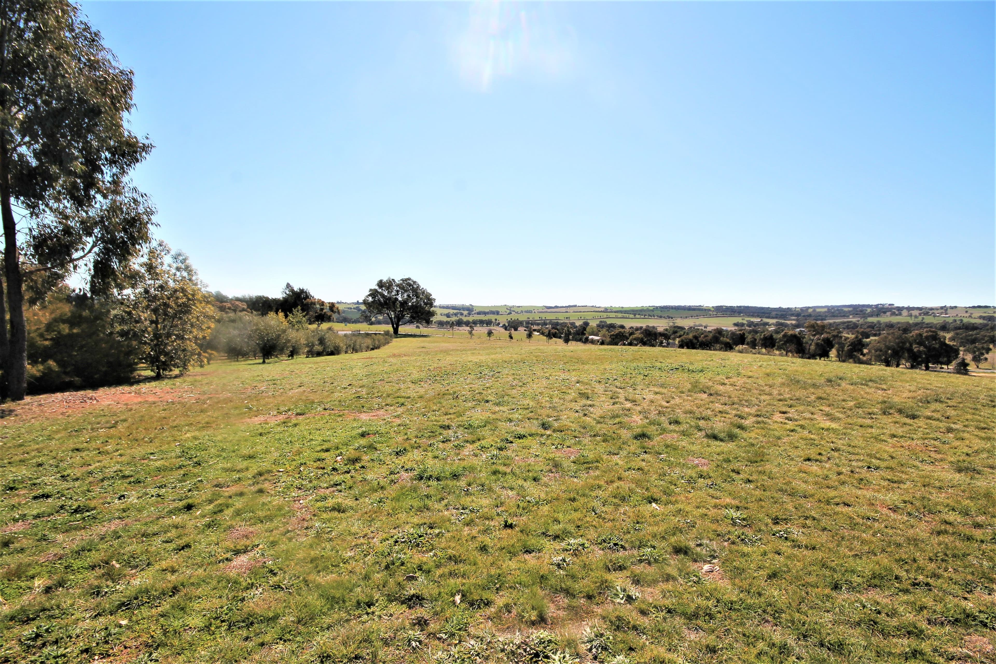 276 Pattersons Lane, Young NSW 2594, Young - Thumbnail 3