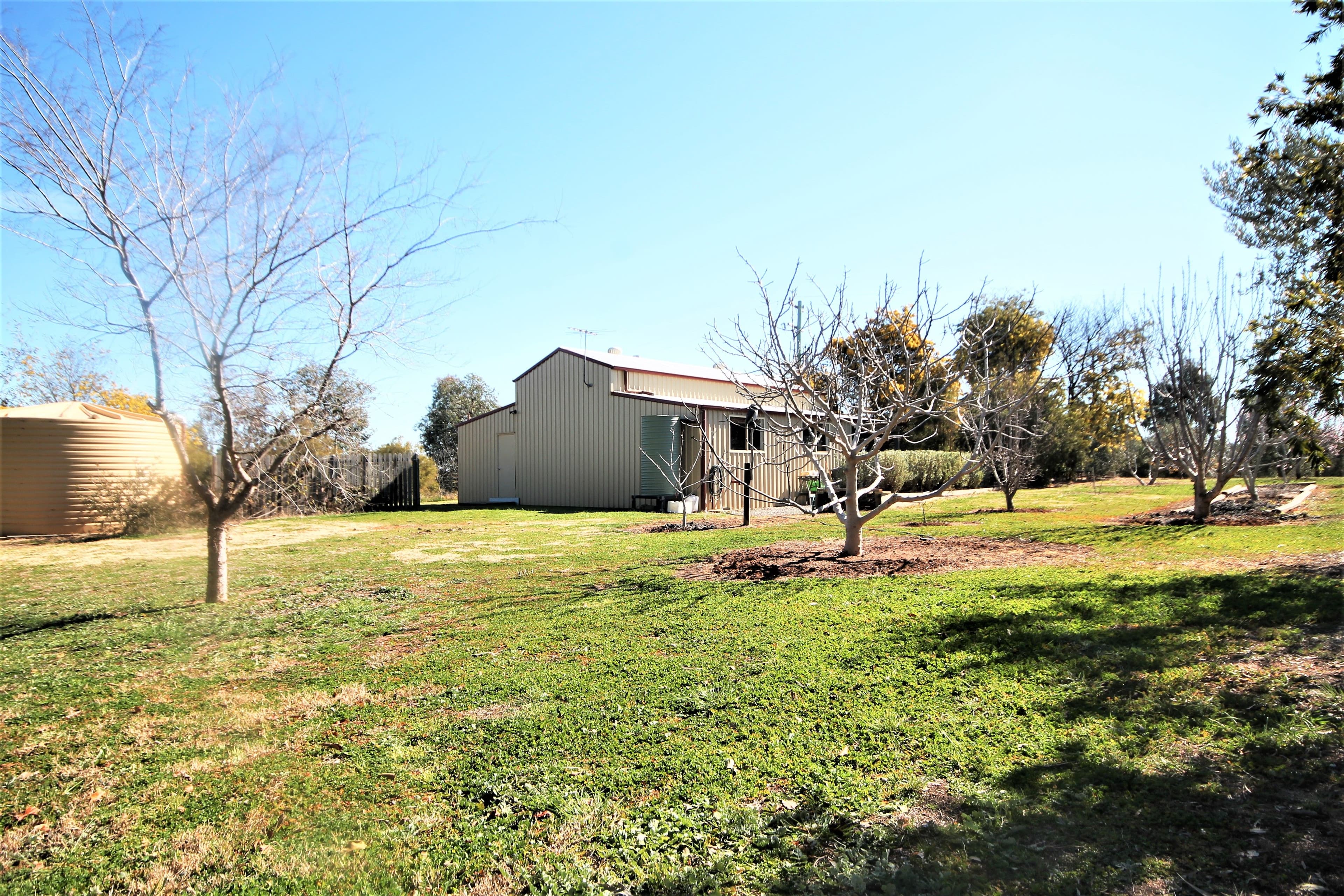 276 Pattersons Lane, Young NSW 2594, Young - Thumbnail 6