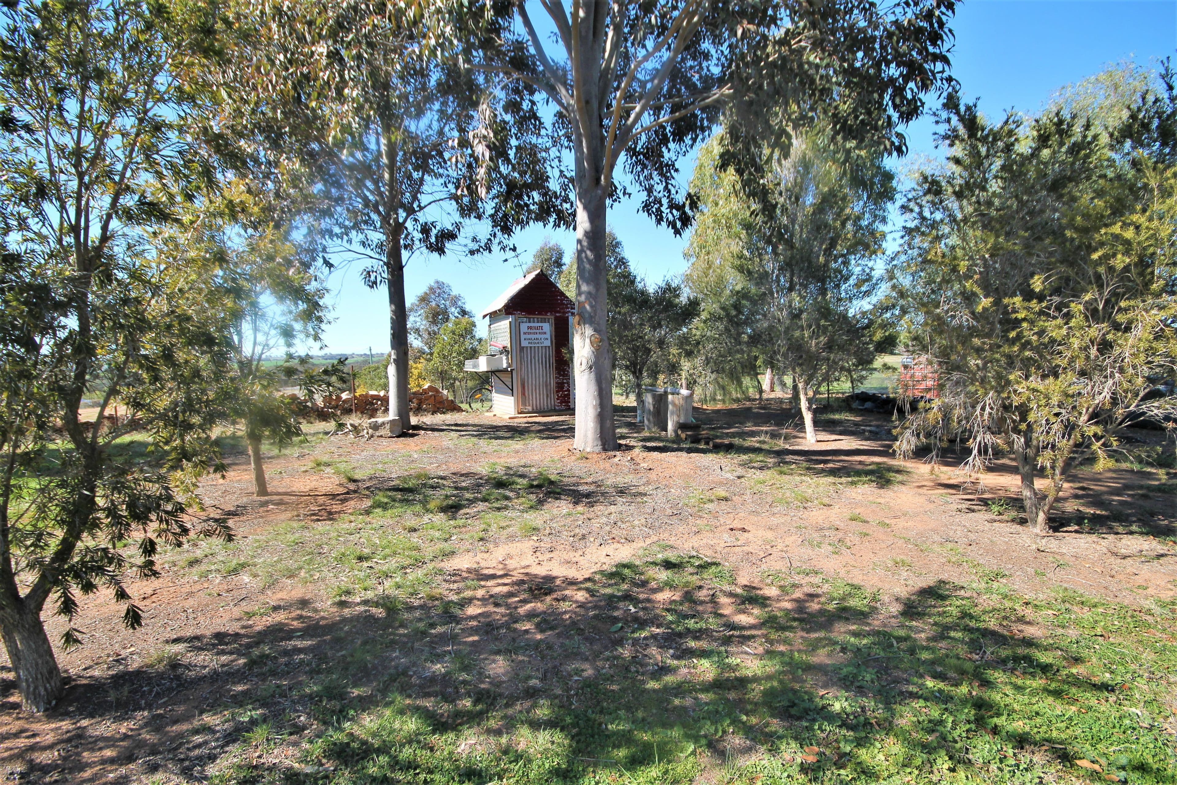 276 Pattersons Lane, Young NSW 2594, Young - Thumbnail 8