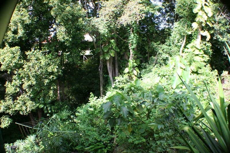6 Ballinger Court, BUDERIM QLD 4556, Buderim - Thumbnail 4