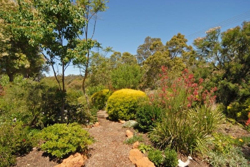 GOOSEBERRY HILL WA 6076, Gooseberry Hill - Thumbnail 8