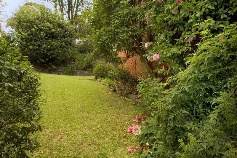 47 Grandview Street, PYMBLE NSW 2073, Pymble - Thumbnail 7